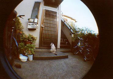 �������s�̔L