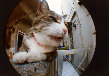 �L������̔L