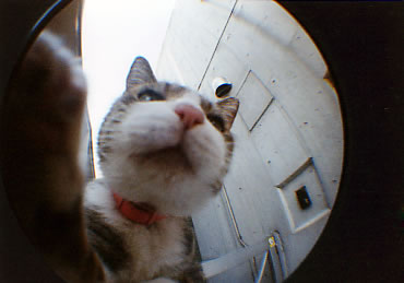 �L������̔L