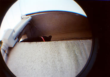 �L������̔L