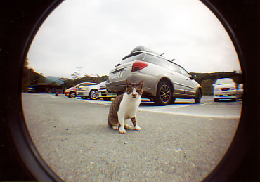 ���Ғ��̔L