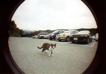 ���Ғ��̔L